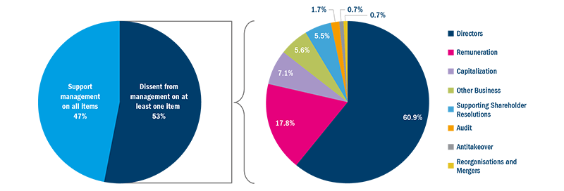 En corporate responsibility proxy voting pie chart